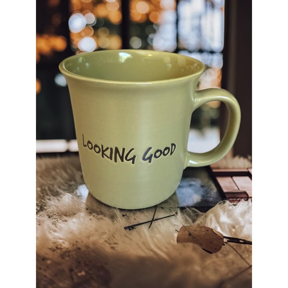 Gibson Home Looking Good Green Ceramic‎ Coffee Mug Tea Cup Sage Stoneware